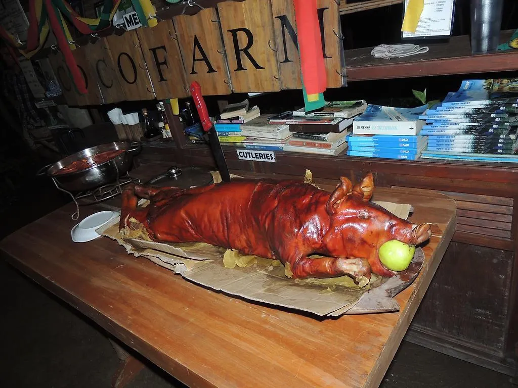 Bohol Coco Farm Hostel Panglao