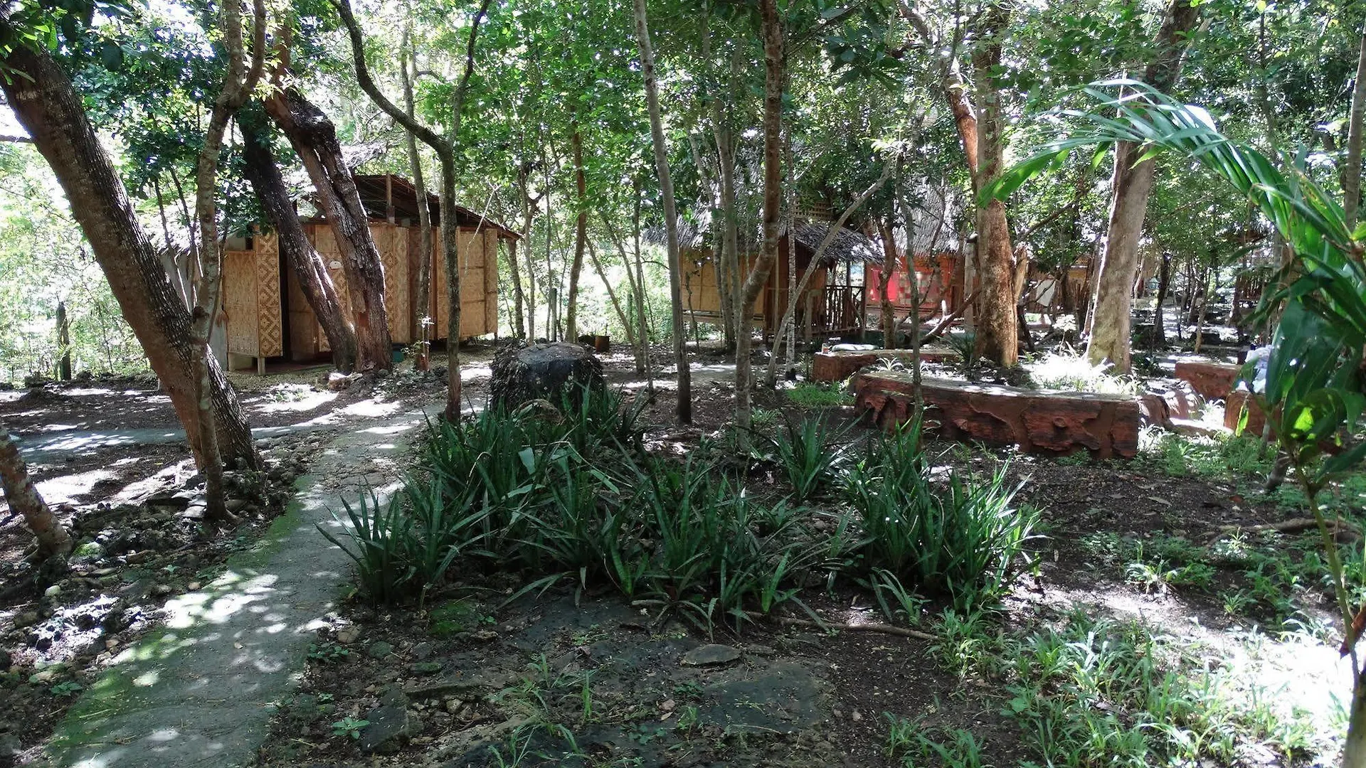 Bohol Coco Farm Hostel Panglao