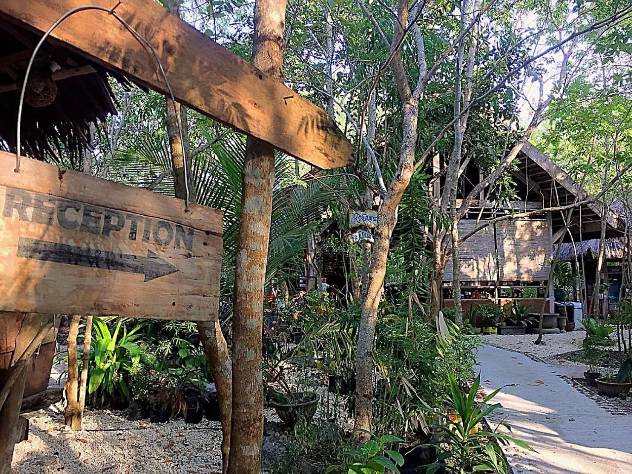 Bohol Coco Farm Hostel Panglao