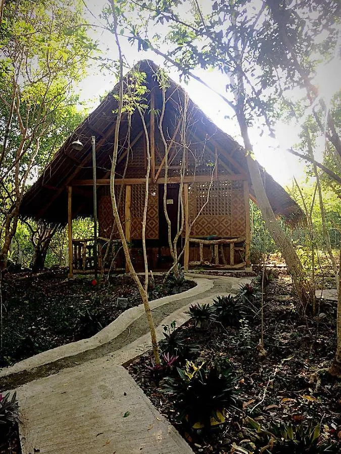 Bohol Coco Farm Hostel Panglao Philippines