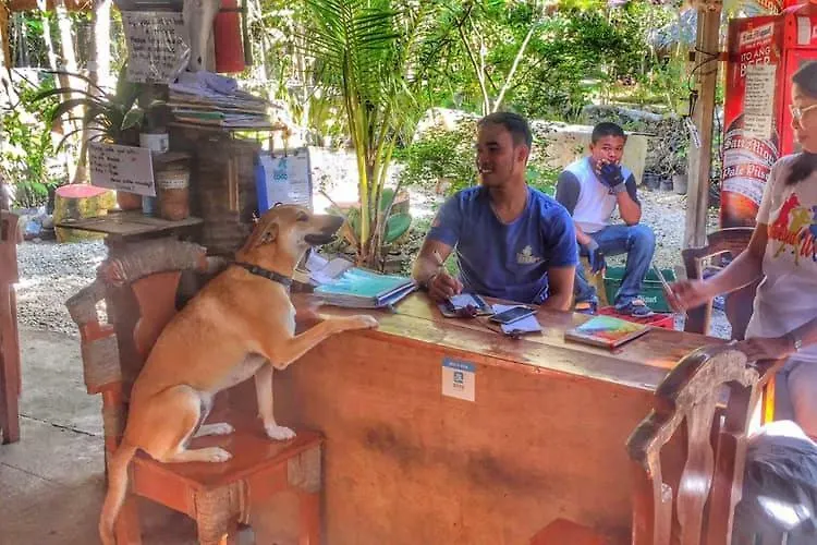 Bohol Coco Farm Hostel Panglao Philippines